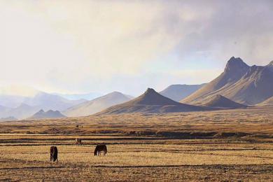 西藏阿里旅游怎么样？