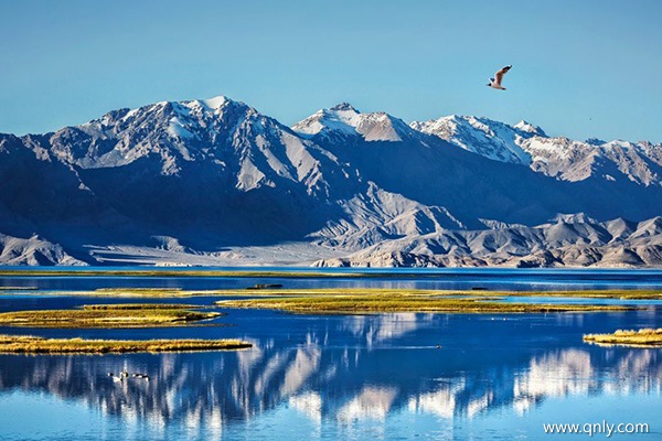 阿里大北线行程安排