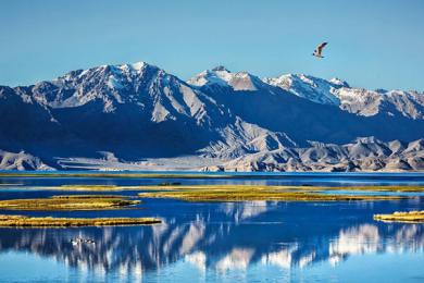 阿里大环线多少公里？