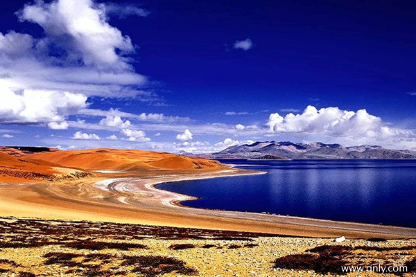 拉萨到阿里多少钱