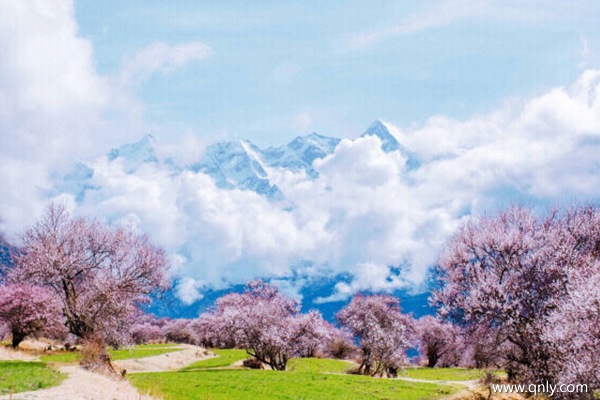 西藏旅行团旅游多少钱