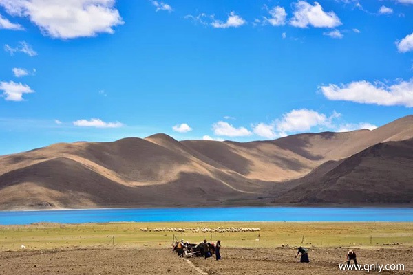 去西藏玩一趟多少钱