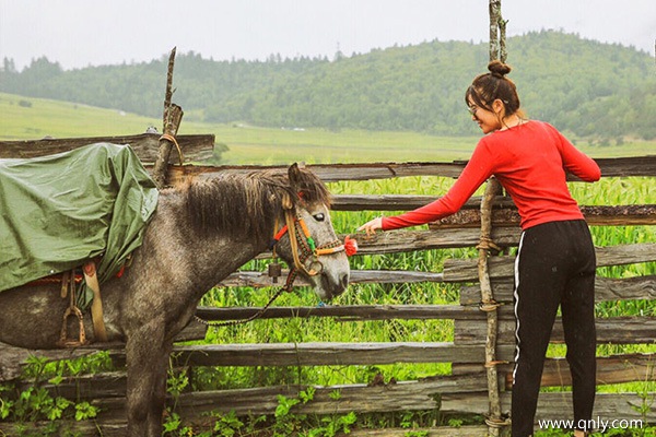 西藏旅行社报价及推荐