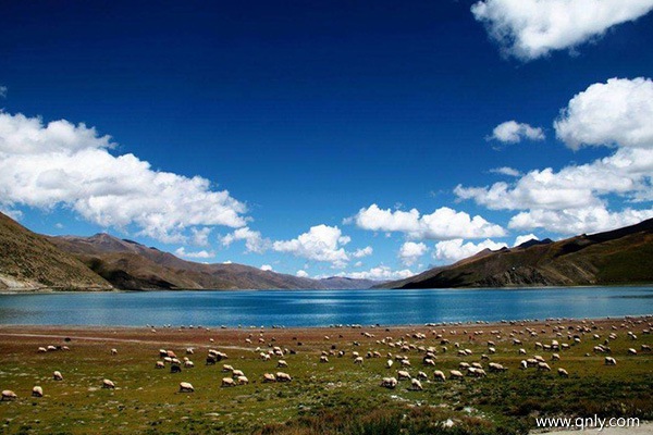 跟团去西藏旅游多少钱