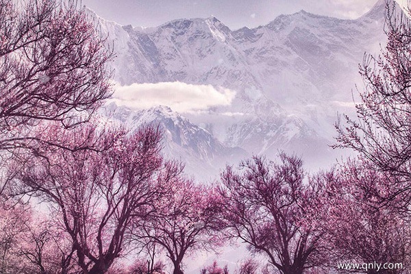 几月去林芝是最好的时间