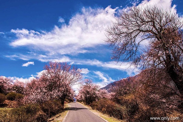 旅游去西藏几月份最好