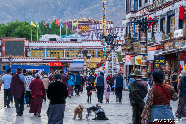 去西藏一般几月份合适