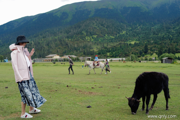 去西藏最佳时间和路线