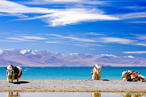 西藏旅游多少钱