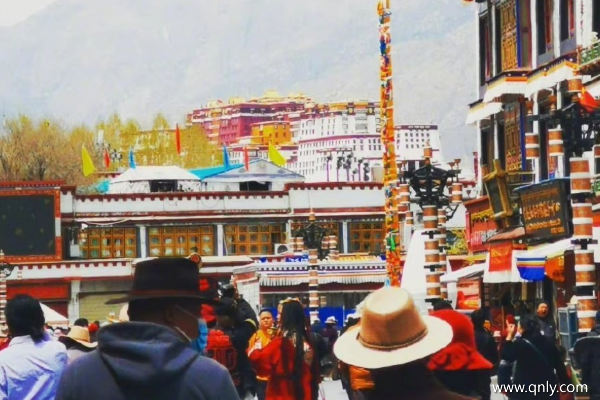 去拉萨应该注意什么