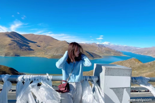 跟团去西藏旅游多少钱