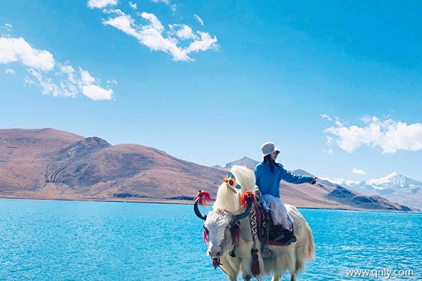 坐火车去西藏旅游费用是多少