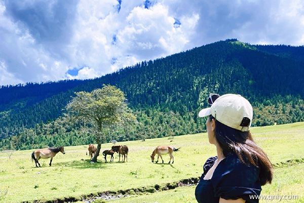 初次到西藏旅游路线怎么走最方便