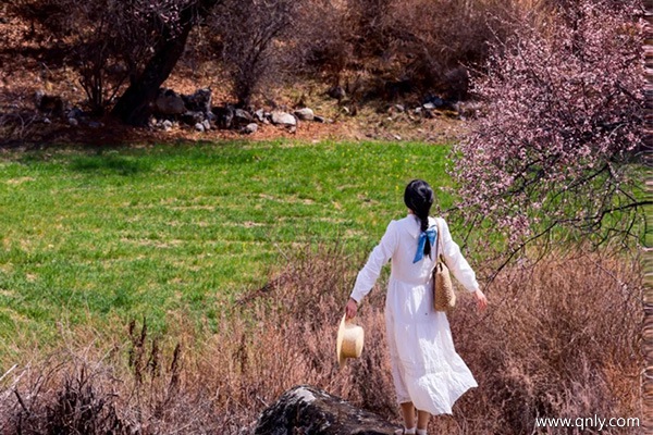 3月底去林芝看桃花穿啥衣服