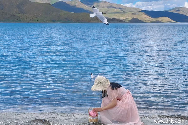 西藏旅游大概多少钱一周