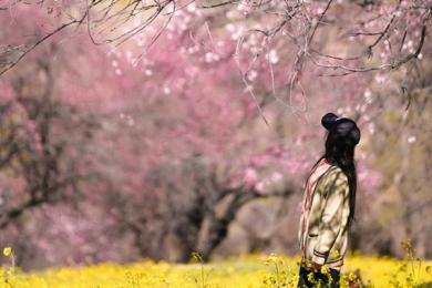 一个人去拉萨要准备多少钱？