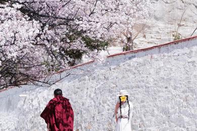 芜湖到西藏跟团7日游报价多少？