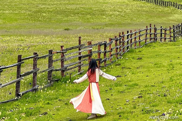 遵义到西藏跟团7日游多少钱