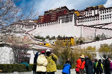 襄阳去西藏玩一个礼拜多少钱？