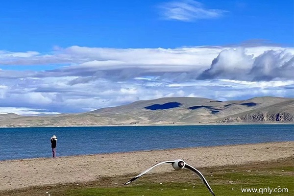 大连到西藏7日游花费多少