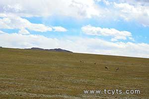 今年1至8月拉萨旅游收入45.56亿元