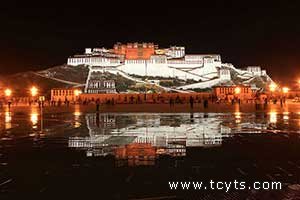 春节西藏旅游接待情况汇总